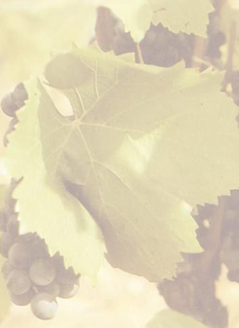 Amiral de Beychevelle 2012 Second Vin de Saint-Julien