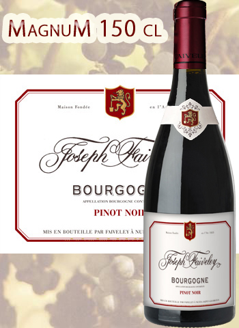 Magnum Bourgogne Pinot Noir Joseph Faiveley 2014