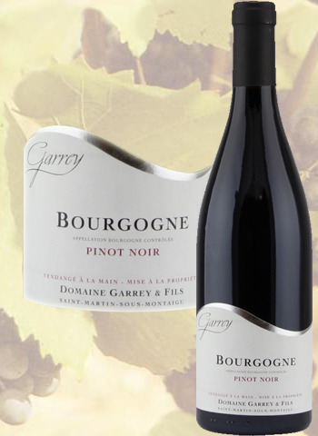 Bourgogne Pinot Noir 2021 Domaine Hubert Garrey