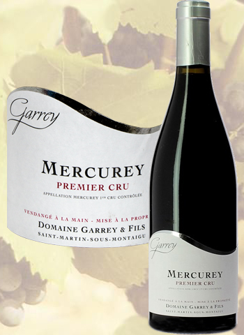 Mercurey 1er Cru 2019 Domaine Hubert Garrey
